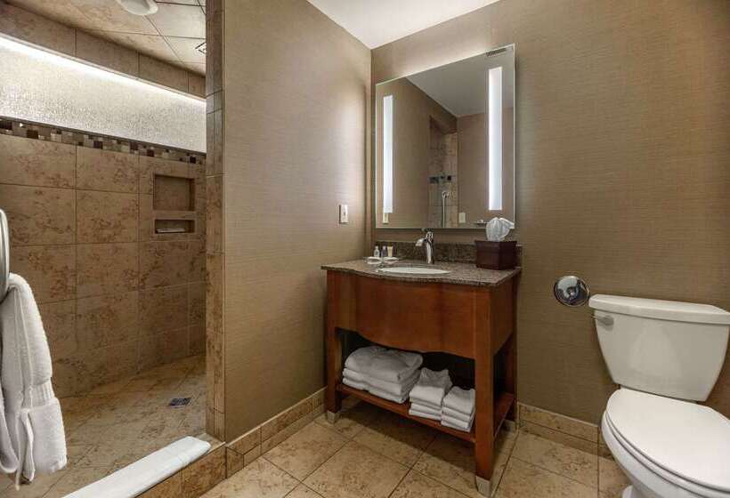 Отель Comfort Suites