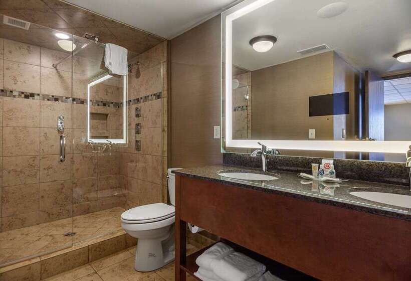 Отель Comfort Suites