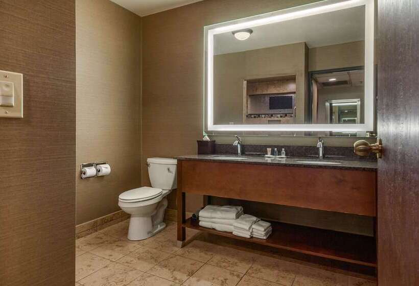 Отель Comfort Suites