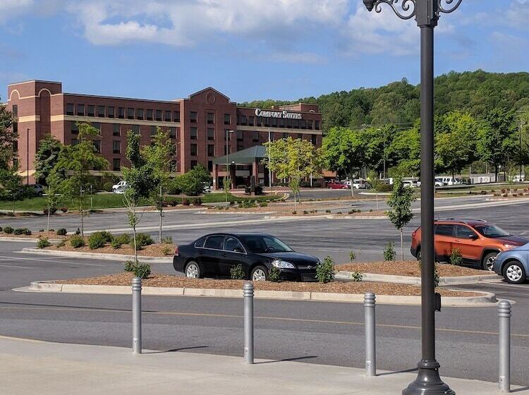 فندق Comfort Suites Outlet Center