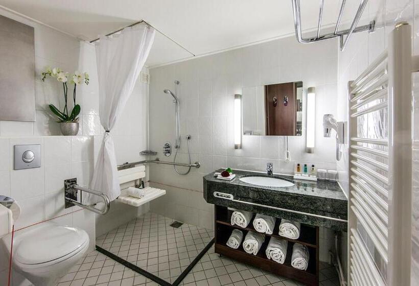 هتل Crowne Plaza Maastricht, An Ihg