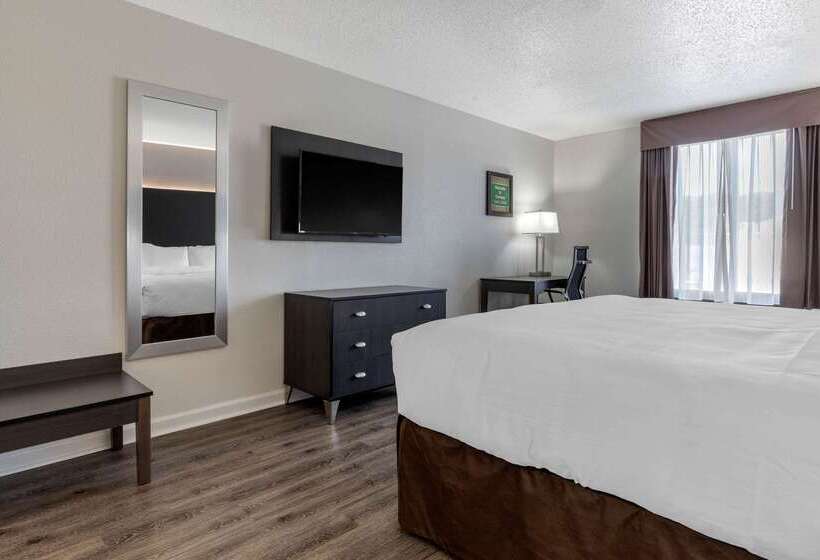 ホテル Econo Lodge At The University