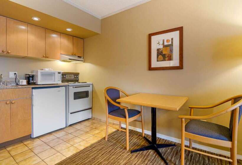 호텔 Econo Lodge Inn & Suites