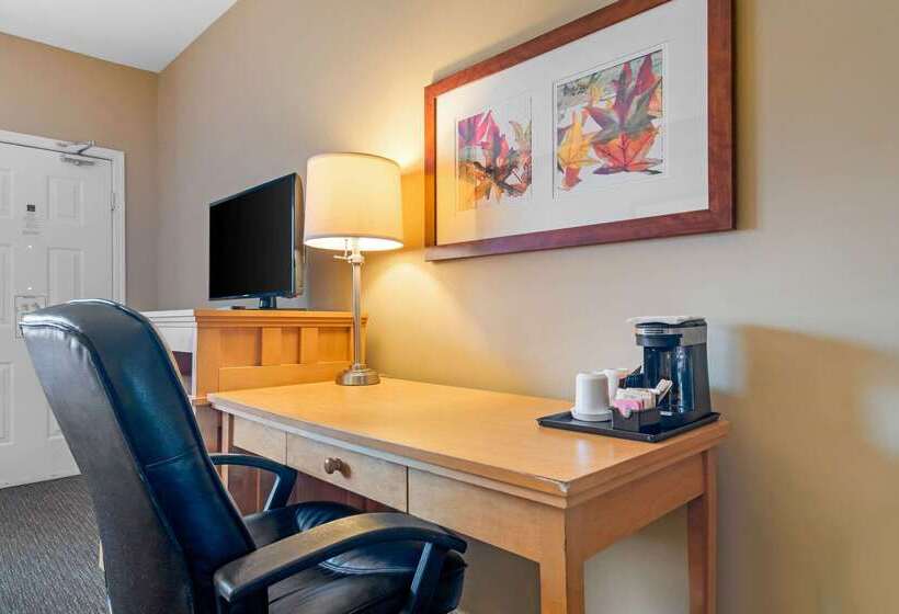 هتل Econo Lodge Inn & Suites