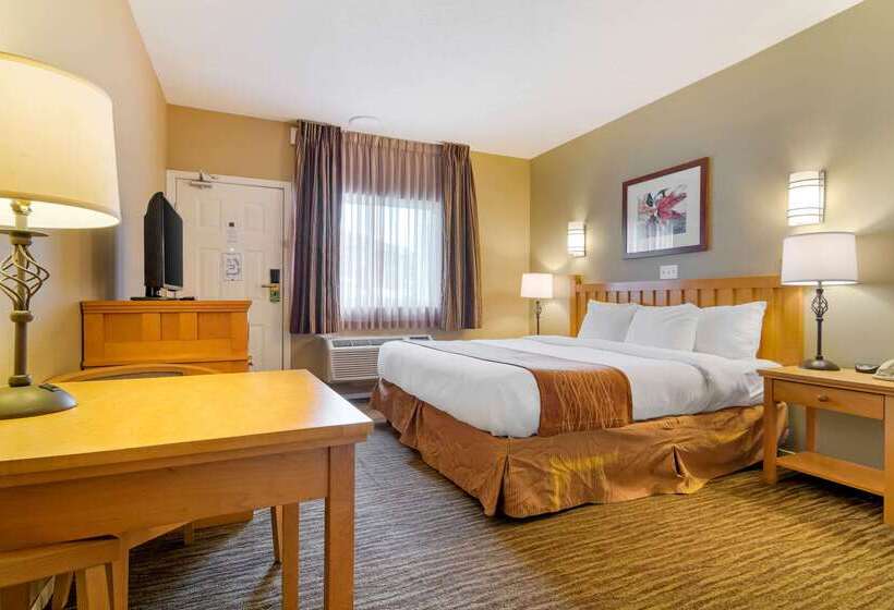 호텔 Econo Lodge Inn & Suites