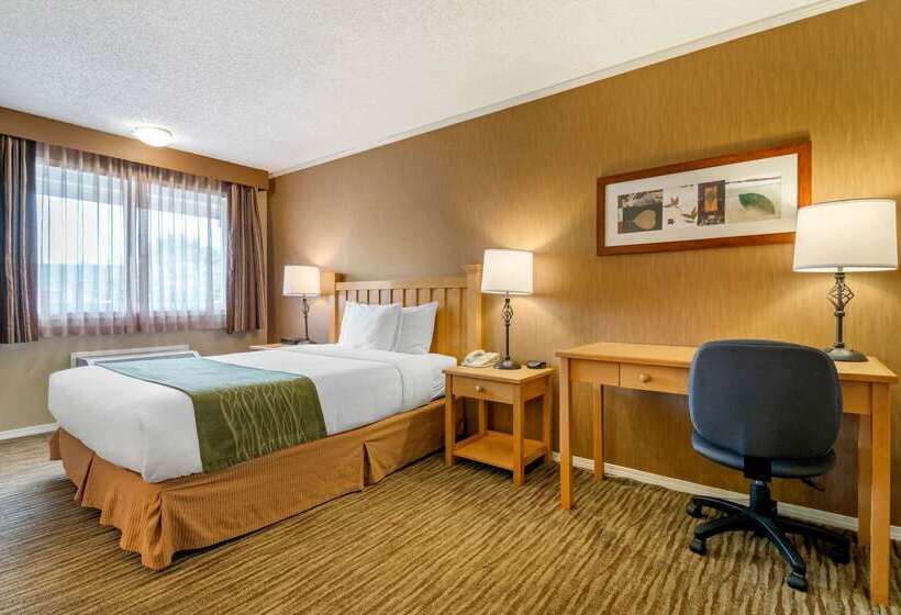 هتل Econo Lodge Inn & Suites