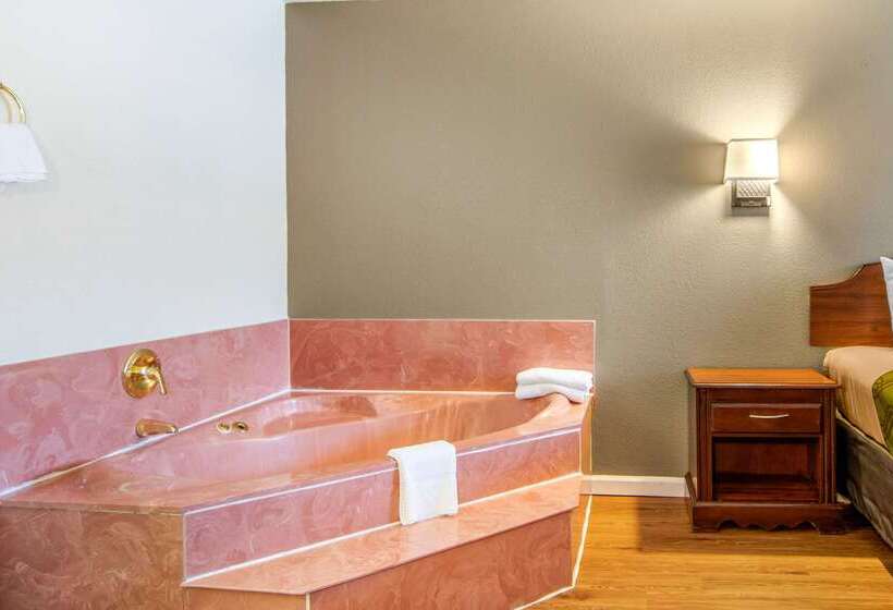 فندق Econo Lodge Inn & Suites