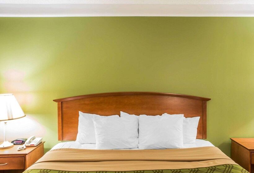 酒店 Econo Lodge North