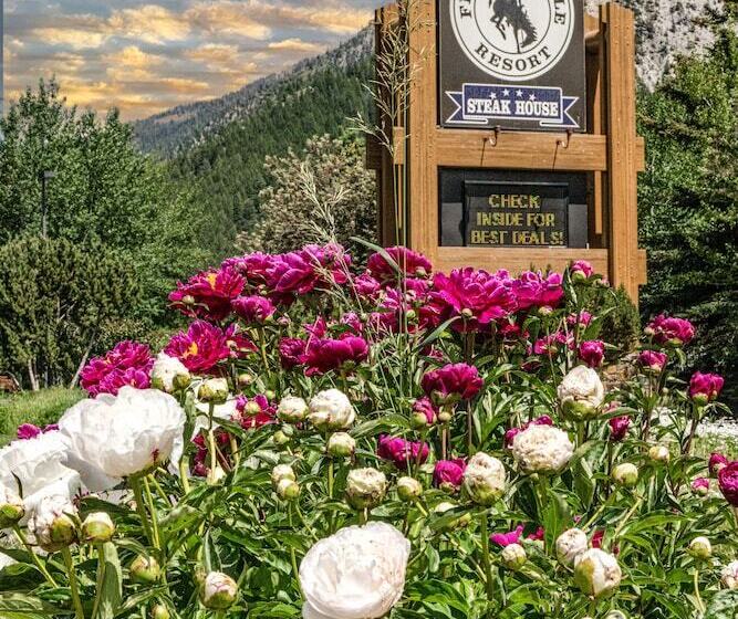 ホテル Flying Saddle Resort And Steak House