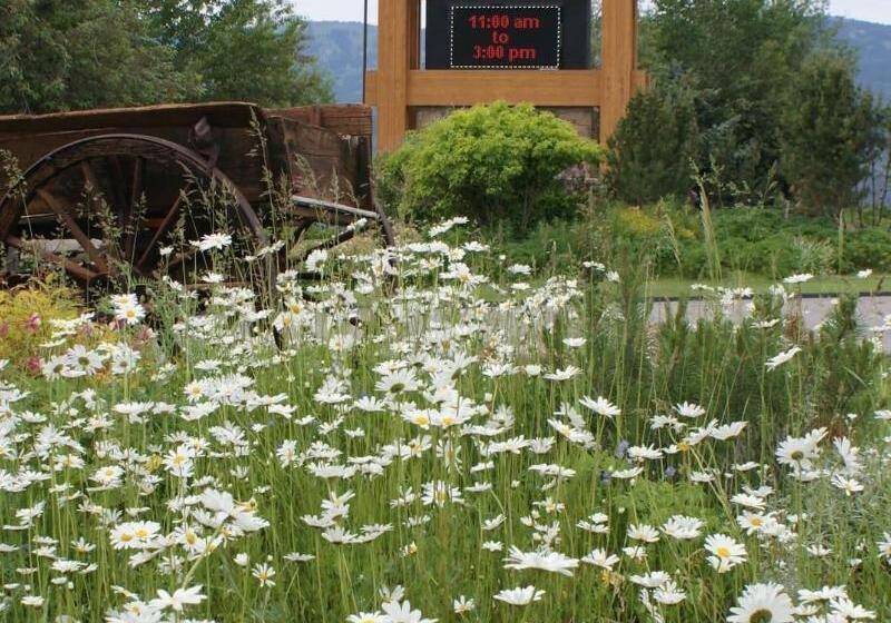 ホテル Flying Saddle Resort And Steak House