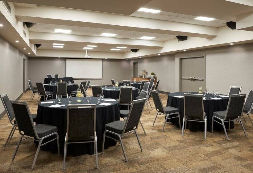 هتل Four Points By Sheraton Windsor Downtown