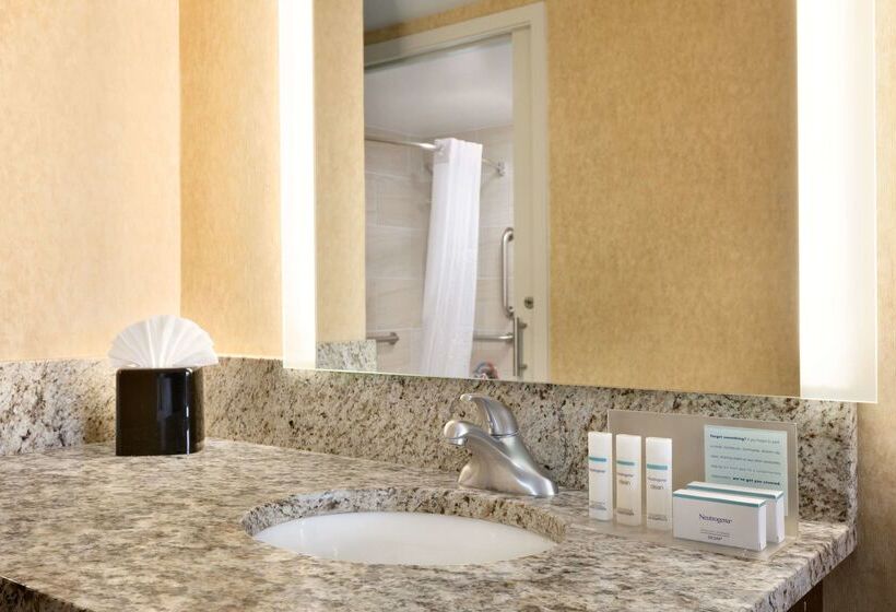 호텔 Hampton Inn Washington Dulles Int L Airport South