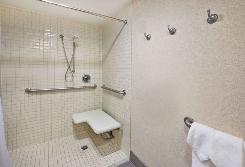 호텔 Hampton Inn Washington Dulles Int L Airport South