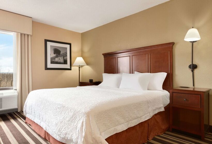 호텔 Hampton Inn Washington Dulles Int L Airport South