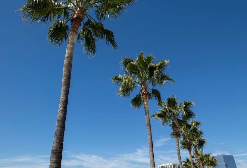 فندق Hyatt Regency Irvine