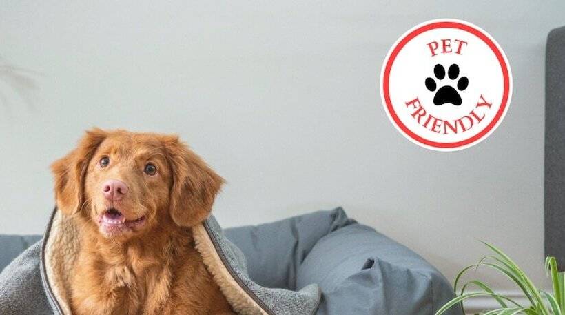 ホテル Inn for Jefferson