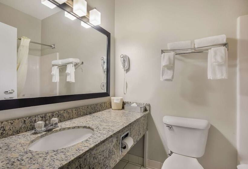 酒店 Mainstay Suites Joliet I55