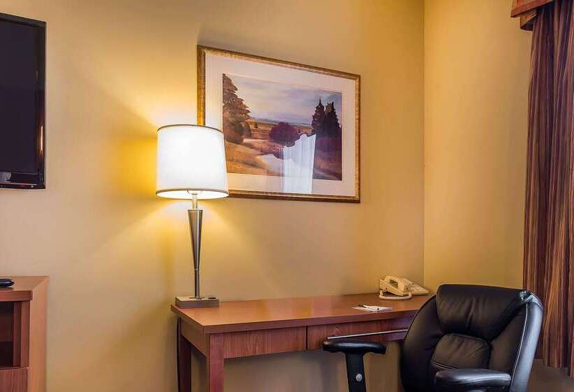 ホテル Quality Inn & Suites