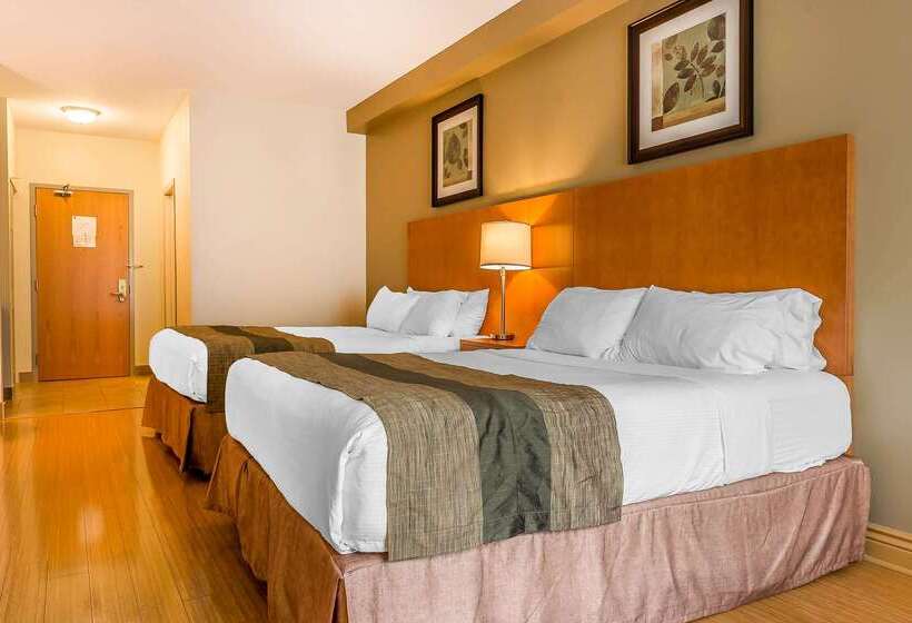 فندق Quality Inn & Suites