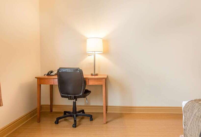 ホテル Quality Inn & Suites