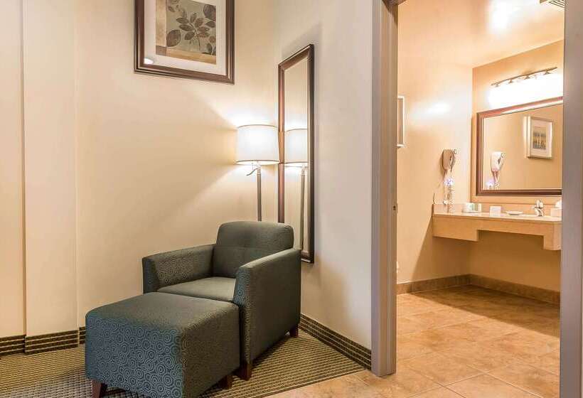 فندق Quality Inn & Suites