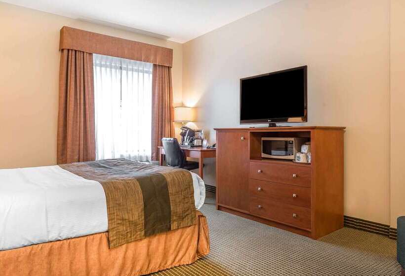ホテル Quality Inn & Suites