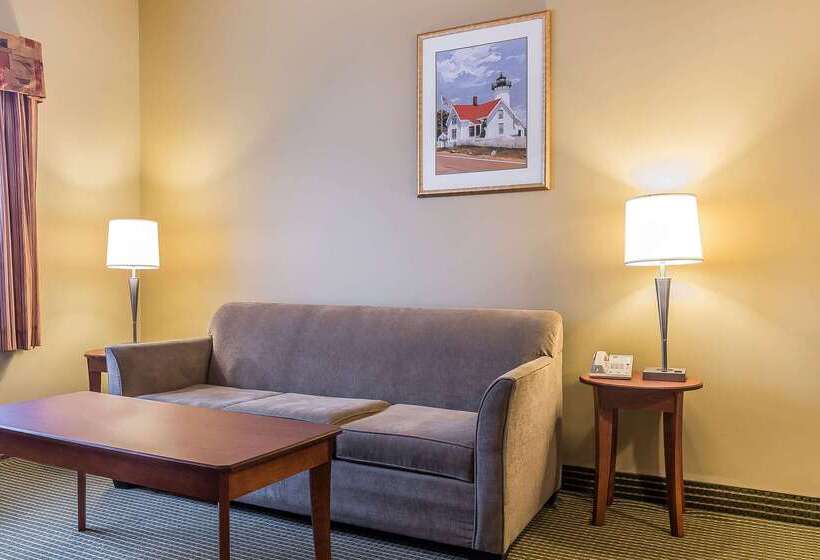 ホテル Quality Inn & Suites