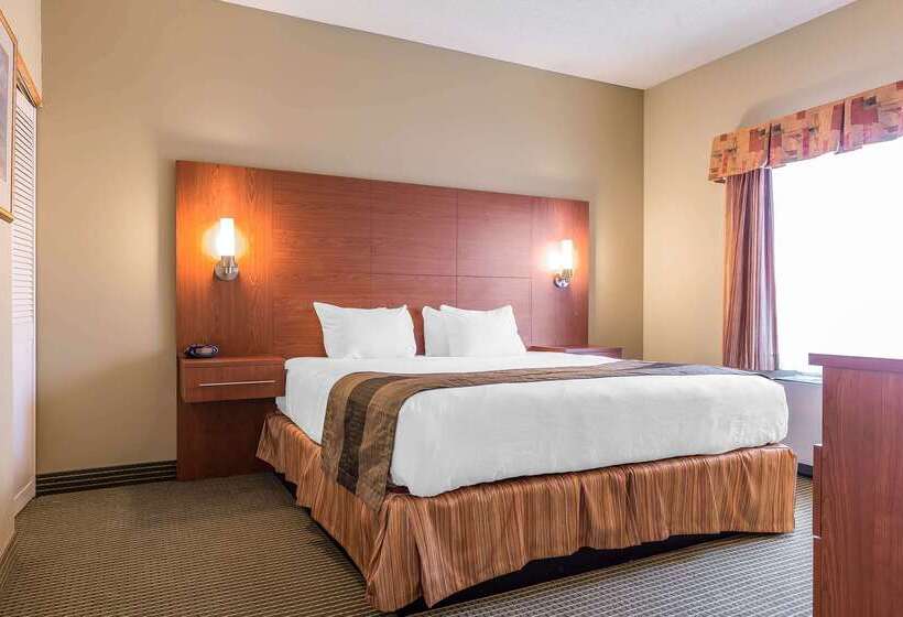 فندق Quality Inn & Suites