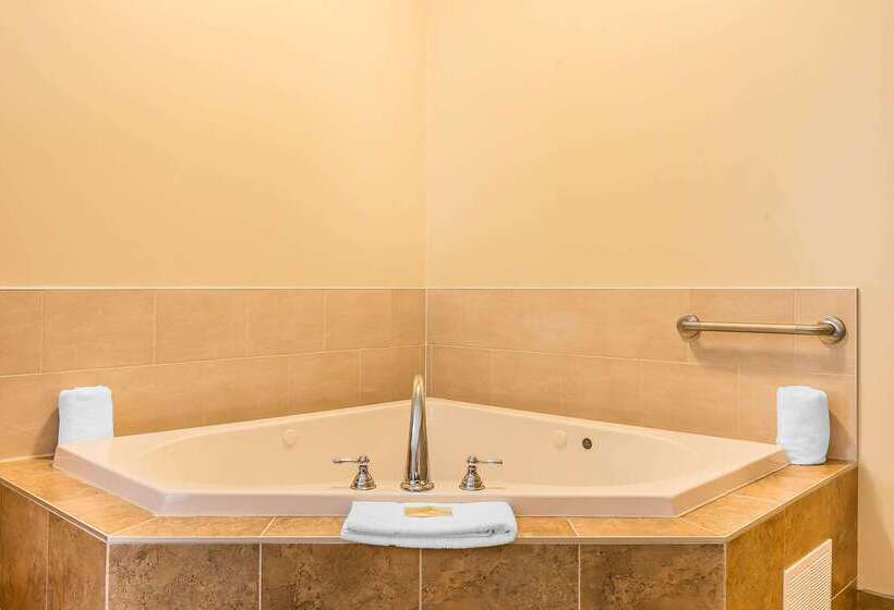 فندق Quality Inn & Suites