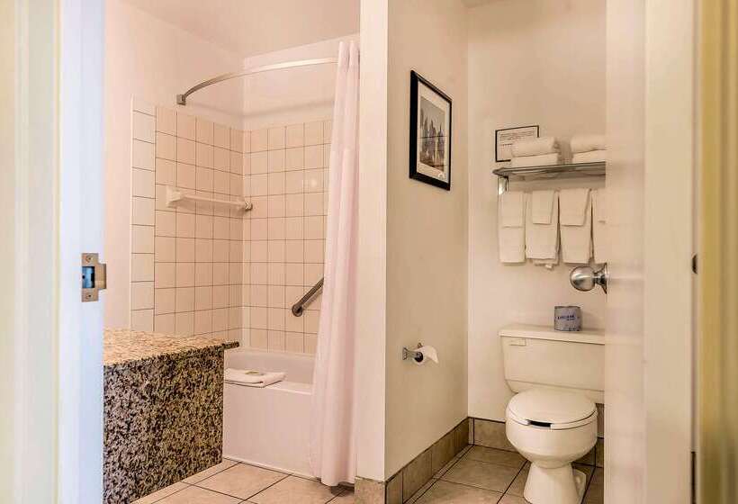 فندق Quality Inn & Suites