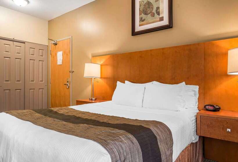 فندق Quality Inn & Suites