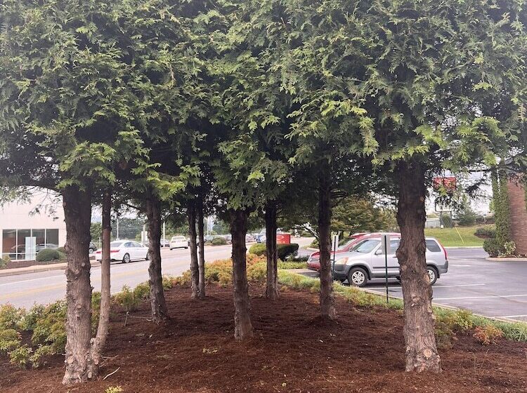 فندق Quality Inn Asheville Airport