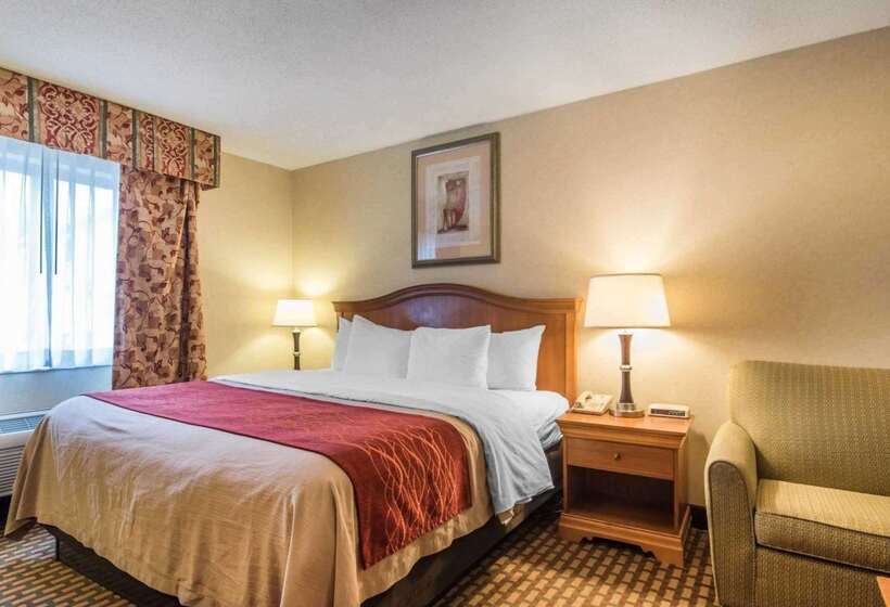 فندق Quality Inn