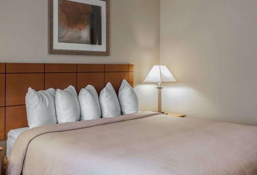 酒店 Quality Inn Near I72 And Hwy 51