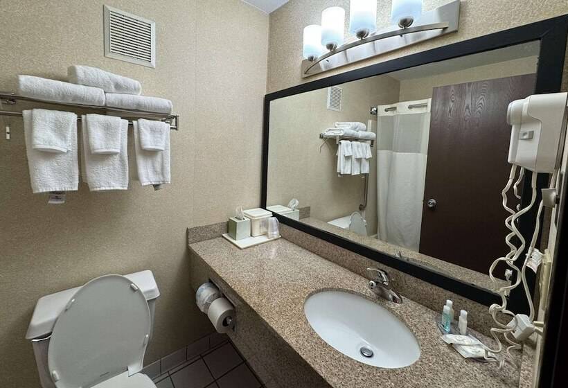 酒店 Quality Inn Near I72 And Hwy 51