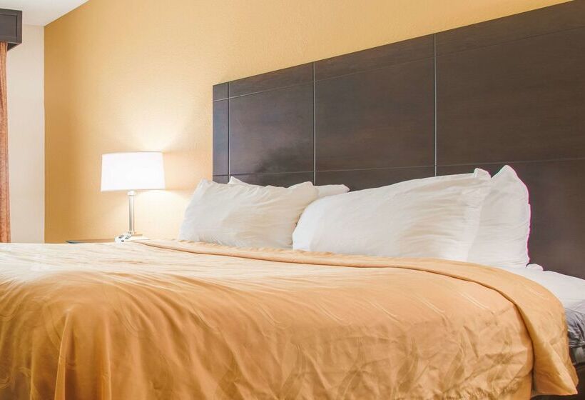 Отель Quality Inn & Suites Aiken