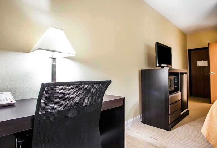 酒店 Quality Inn & Suites