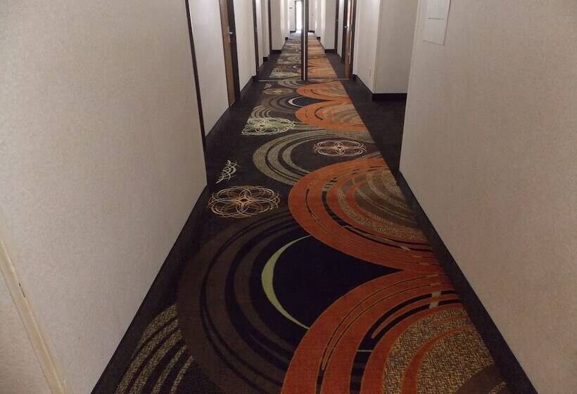 酒店 Quality Inn & Suites