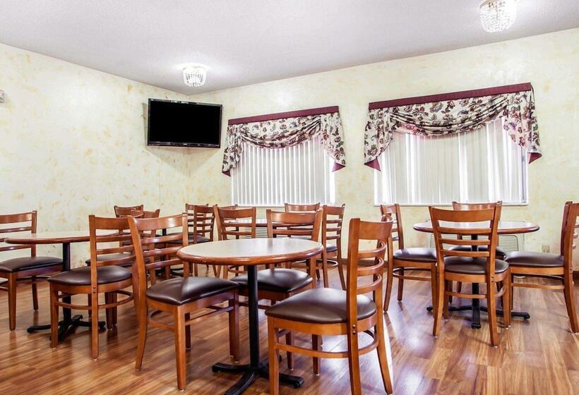 酒店 Quality Inn & Suites