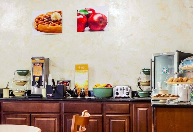 酒店 Quality Inn & Suites