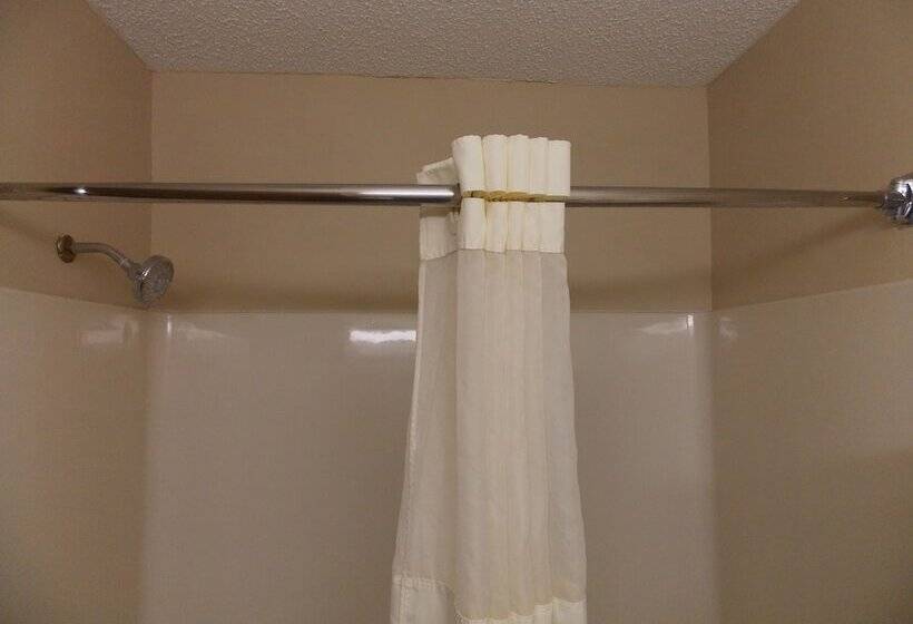 酒店 Quality Inn & Suites