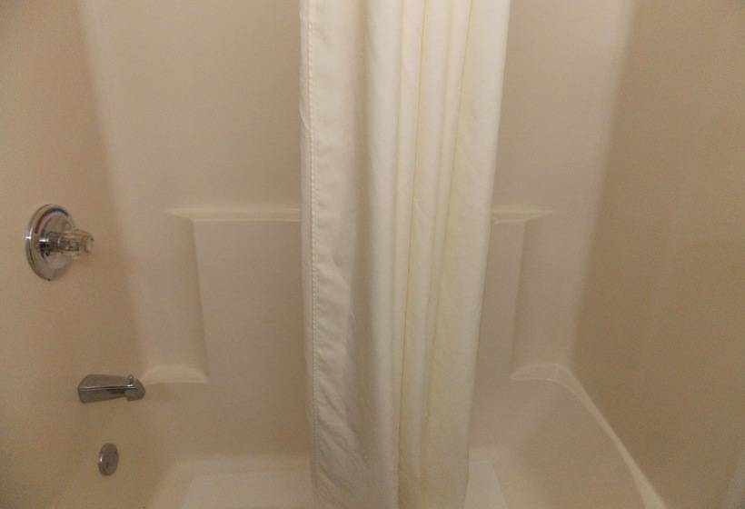 酒店 Quality Inn & Suites