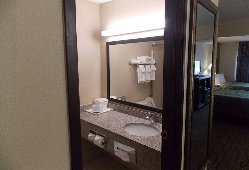 酒店 Quality Inn & Suites