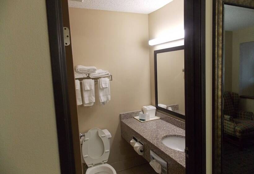 酒店 Quality Inn & Suites