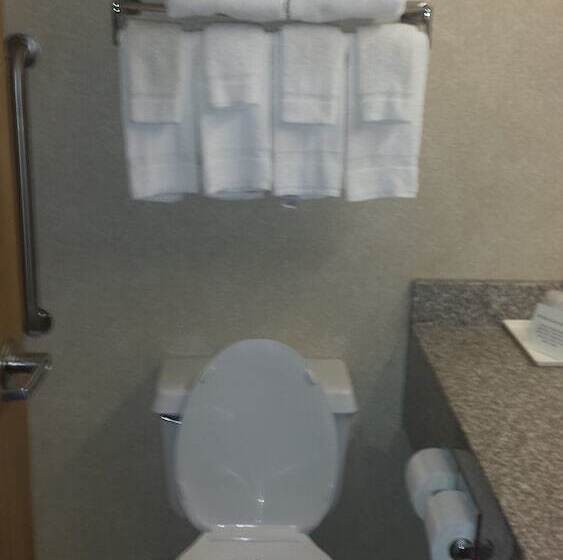 酒店 Quality Inn & Suites