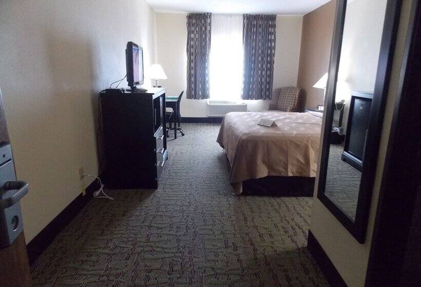 酒店 Quality Inn & Suites
