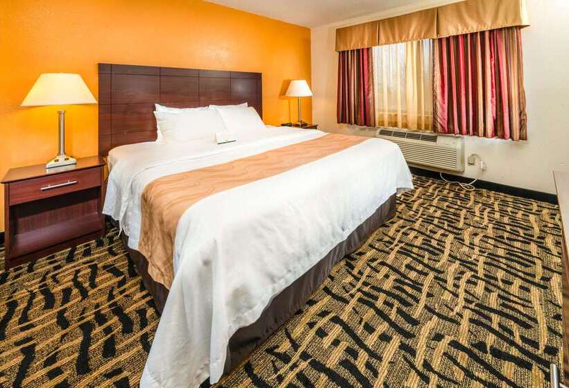 酒店 Quality Inn & Suites