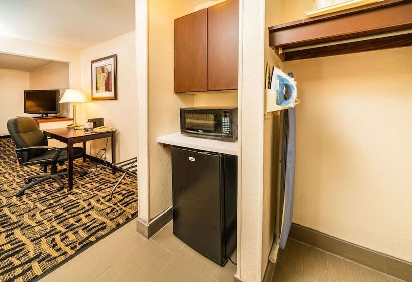 酒店 Quality Inn & Suites