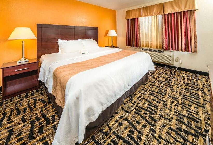 酒店 Quality Inn & Suites