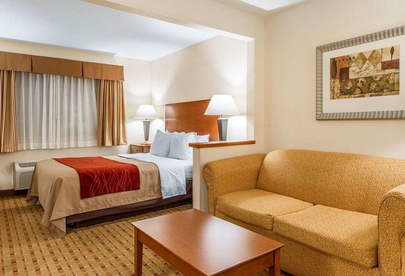 هتل Quality Inn & Suites